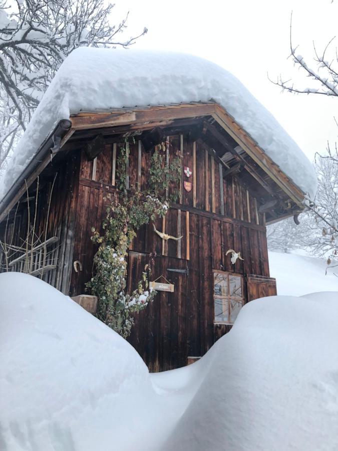 Bed and Breakfast Le Pika Hauteluce Exteriér fotografie